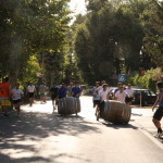 serrone 2014 (16)